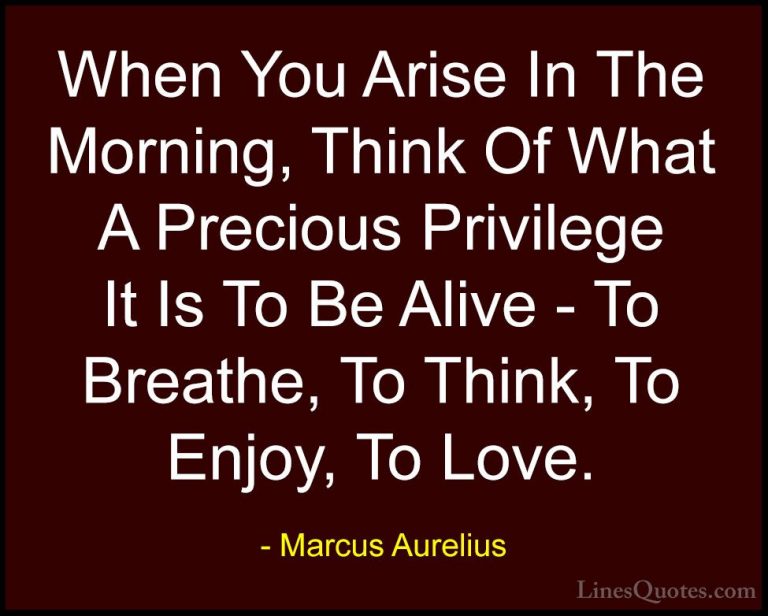 Marcus Aurelius Quotes (4) - When You Arise In The Morning, Think... - QuotesWhen You Arise In The Morning, Think Of What A Precious Privilege It Is To Be Alive - To Breathe, To Think, To Enjoy, To Love.