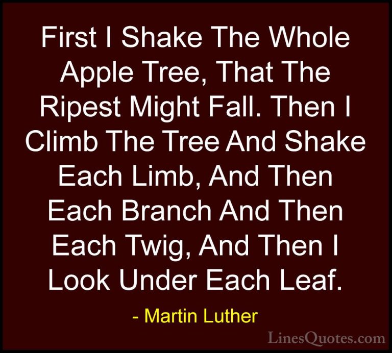 Martin Luther Quotes (27) - First I Shake The Whole Apple Tree, T... - QuotesFirst I Shake The Whole Apple Tree, That The Ripest Might Fall. Then I Climb The Tree And Shake Each Limb, And Then Each Branch And Then Each Twig, And Then I Look Under Each Leaf.