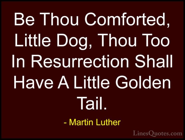 Martin Luther Quotes (50) - Be Thou Comforted, Little Dog, Thou T... - QuotesBe Thou Comforted, Little Dog, Thou Too In Resurrection Shall Have A Little Golden Tail.