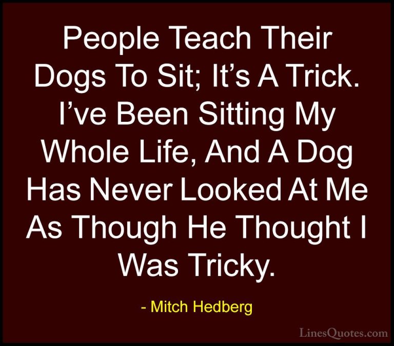 Mitch Hedberg Quotes (27) - People Teach Their Dogs To Sit; It's ... - QuotesPeople Teach Their Dogs To Sit; It's A Trick. I've Been Sitting My Whole Life, And A Dog Has Never Looked At Me As Though He Thought I Was Tricky.