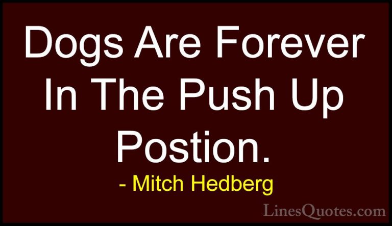 Mitch Hedberg Quotes (49) - Dogs Are Forever In The Push Up Posti... - QuotesDogs Are Forever In The Push Up Postion.