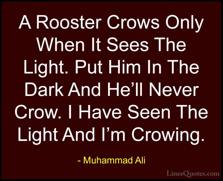 Muhammad Ali Quotes (64) - A Rooster Crows Only When It Sees The ... - QuotesA Rooster Crows Only When It Sees The Light. Put Him In The Dark And He'll Never Crow. I Have Seen The Light And I'm Crowing.