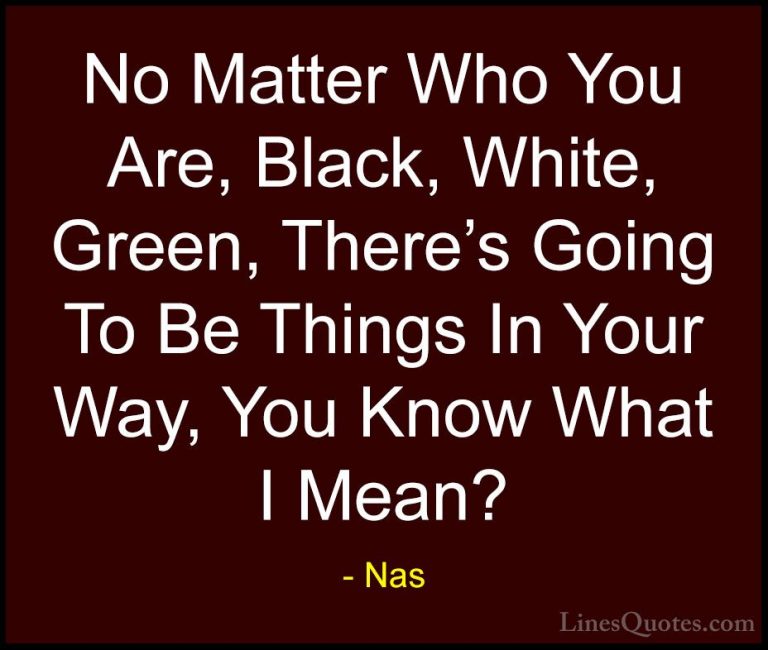 Nas Quotes (44) - No Matter Who You Are, Black, White, Green, The... - QuotesNo Matter Who You Are, Black, White, Green, There's Going To Be Things In Your Way, You Know What I Mean?