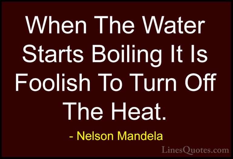 Nelson Mandela Quotes (29) - When The Water Starts Boiling It Is ... - QuotesWhen The Water Starts Boiling It Is Foolish To Turn Off The Heat.