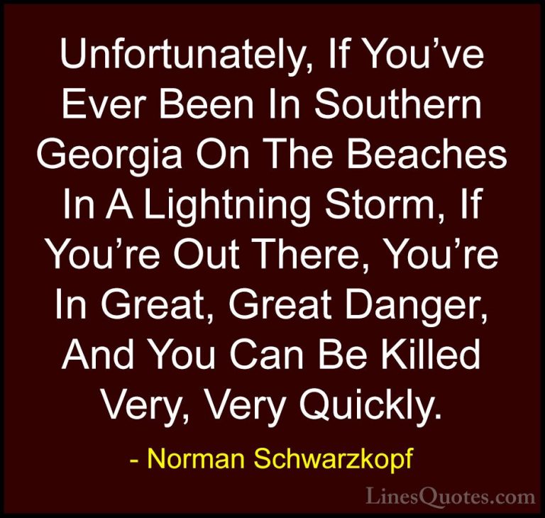 Norman Schwarzkopf Quotes (47) - Unfortunately, If You've Ever Be... - QuotesUnfortunately, If You've Ever Been In Southern Georgia On The Beaches In A Lightning Storm, If You're Out There, You're In Great, Great Danger, And You Can Be Killed Very, Very Quickly.