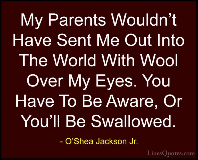 O'Shea Jackson Jr. Quotes (13) - My Parents Wouldn't Have Sent Me... - QuotesMy Parents Wouldn't Have Sent Me Out Into The World With Wool Over My Eyes. You Have To Be Aware, Or You'll Be Swallowed.