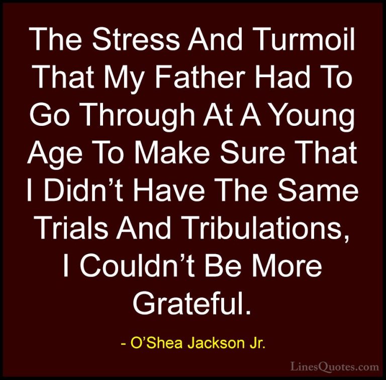 O'Shea Jackson Jr. Quotes (14) - The Stress And Turmoil That My F... - QuotesThe Stress And Turmoil That My Father Had To Go Through At A Young Age To Make Sure That I Didn't Have The Same Trials And Tribulations, I Couldn't Be More Grateful.