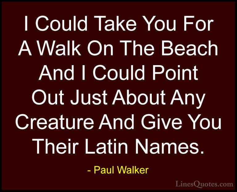 Paul Walker Quotes (22) - I Could Take You For A Walk On The Beac... - QuotesI Could Take You For A Walk On The Beach And I Could Point Out Just About Any Creature And Give You Their Latin Names.