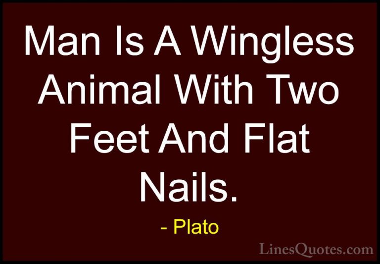 Plato Quotes (147) - Man Is A Wingless Animal With Two Feet And F... - QuotesMan Is A Wingless Animal With Two Feet And Flat Nails.