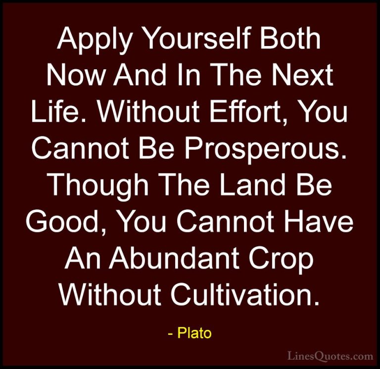 Plato Quotes (22) - Apply Yourself Both Now And In The Next Life.... - QuotesApply Yourself Both Now And In The Next Life. Without Effort, You Cannot Be Prosperous. Though The Land Be Good, You Cannot Have An Abundant Crop Without Cultivation.