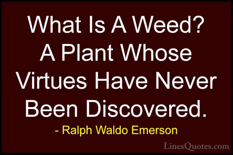 Ralph Waldo Emerson Quotes (20) - What Is A Weed? A Plant Whose V... - QuotesWhat Is A Weed? A Plant Whose Virtues Have Never Been Discovered.