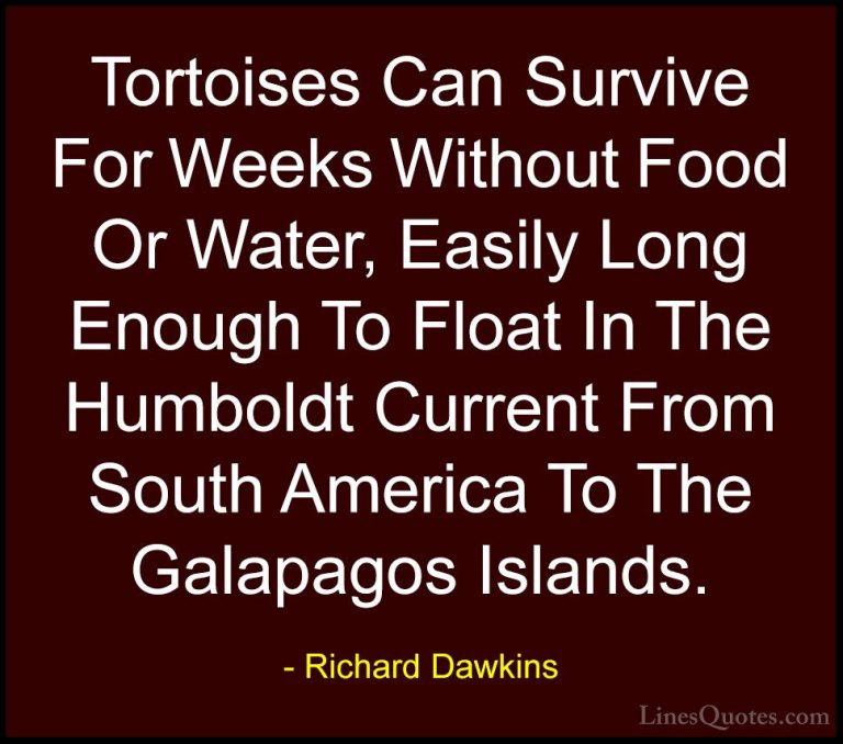 Richard Dawkins Quotes (204) - Tortoises Can Survive For Weeks Wi... - QuotesTortoises Can Survive For Weeks Without Food Or Water, Easily Long Enough To Float In The Humboldt Current From South America To The Galapagos Islands.