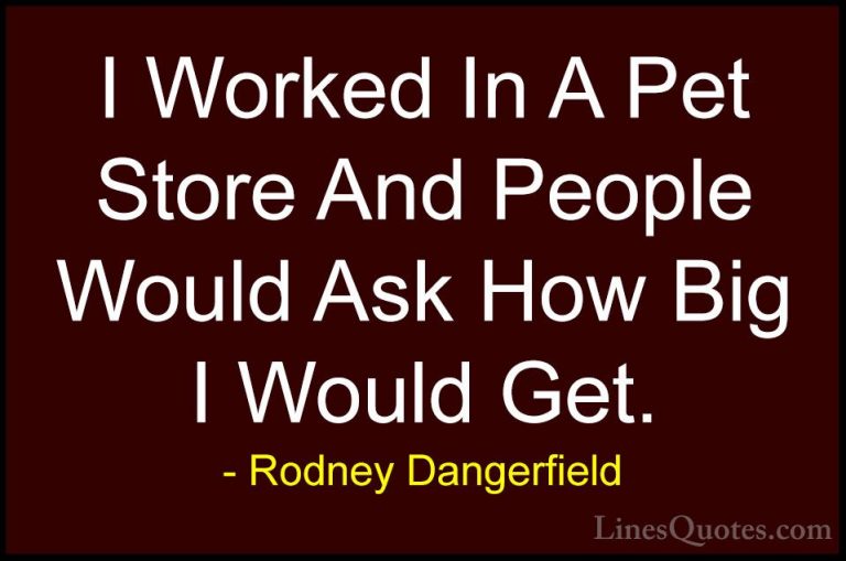 Rodney Dangerfield Quotes (37) - I Worked In A Pet Store And Peop... - QuotesI Worked In A Pet Store And People Would Ask How Big I Would Get.