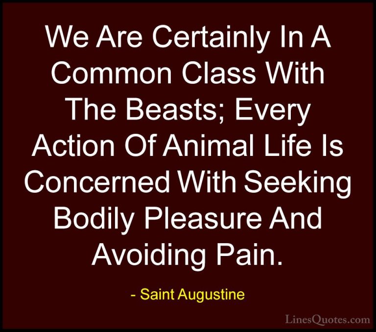 Saint Augustine Quotes (34) - We Are Certainly In A Common Class ... - QuotesWe Are Certainly In A Common Class With The Beasts; Every Action Of Animal Life Is Concerned With Seeking Bodily Pleasure And Avoiding Pain.