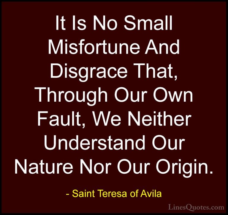 Saint Teresa of Avila Quotes (40) - It Is No Small Misfortune And... - QuotesIt Is No Small Misfortune And Disgrace That, Through Our Own Fault, We Neither Understand Our Nature Nor Our Origin.
