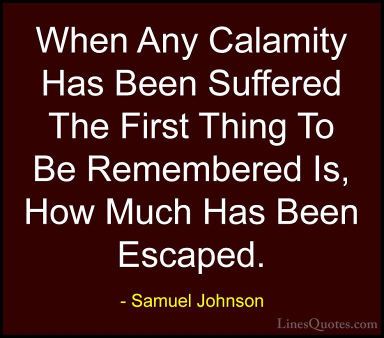 Samuel Johnson Quotes (65) - When Any Calamity Has Been Suffered ... - QuotesWhen Any Calamity Has Been Suffered The First Thing To Be Remembered Is, How Much Has Been Escaped.