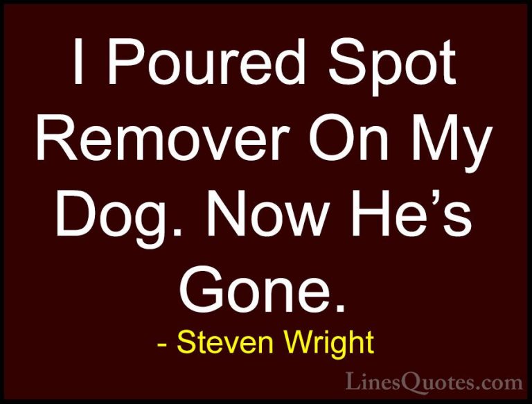 Steven Wright Quotes (152) - I Poured Spot Remover On My Dog. Now... - QuotesI Poured Spot Remover On My Dog. Now He's Gone.