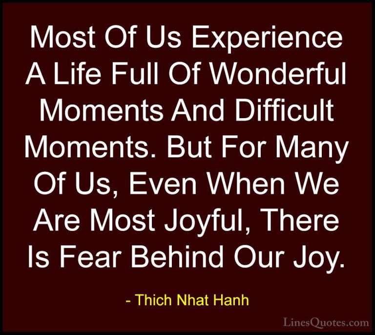 Thich Nhat Hanh Quotes (11) - Most Of Us Experience A Life Full O... - QuotesMost Of Us Experience A Life Full Of Wonderful Moments And Difficult Moments. But For Many Of Us, Even When We Are Most Joyful, There Is Fear Behind Our Joy.