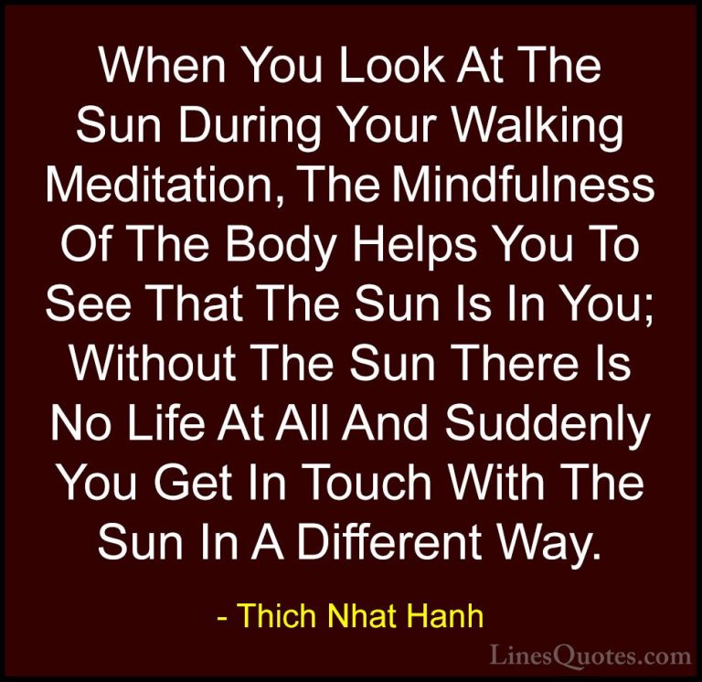 Thich Nhat Hanh Quotes (33) - When You Look At The Sun During You... - QuotesWhen You Look At The Sun During Your Walking Meditation, The Mindfulness Of The Body Helps You To See That The Sun Is In You; Without The Sun There Is No Life At All And Suddenly You Get In Touch With The Sun In A Different Way.