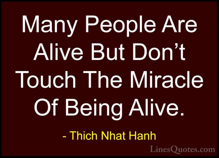Thich Nhat Hanh Quotes (9) - Many People Are Alive But Don't Touc... - QuotesMany People Are Alive But Don't Touch The Miracle Of Being Alive.