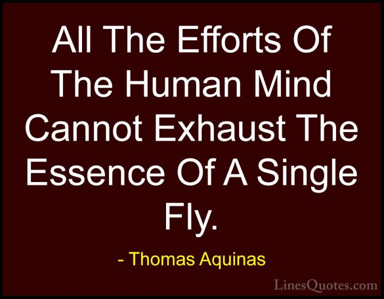 Thomas Aquinas Quotes (48) - All The Efforts Of The Human Mind Ca... - QuotesAll The Efforts Of The Human Mind Cannot Exhaust The Essence Of A Single Fly.
