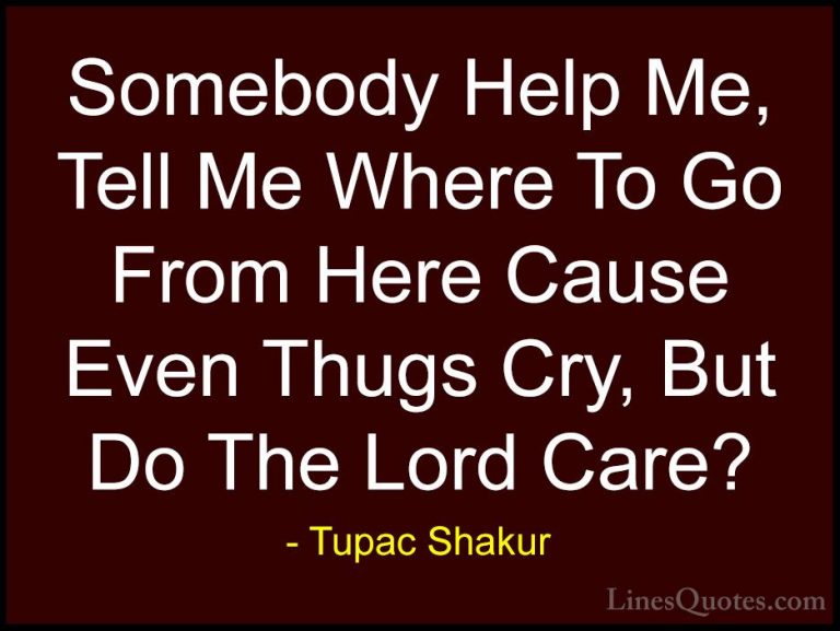 Tupac Shakur Quotes (30) - Somebody Help Me, Tell Me Where To Go ... - QuotesSomebody Help Me, Tell Me Where To Go From Here Cause Even Thugs Cry, But Do The Lord Care?