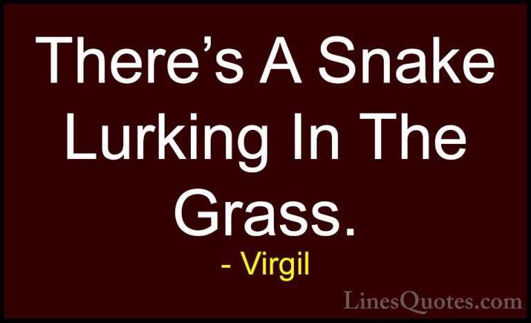 Virgil Quotes (41) - There's A Snake Lurking In The Grass.... - QuotesThere's A Snake Lurking In The Grass.
