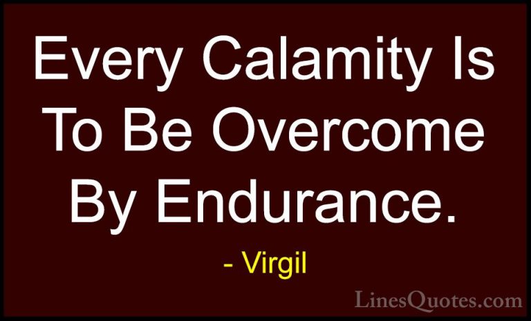 Virgil Quotes (6) - Every Calamity Is To Be Overcome By Endurance... - QuotesEvery Calamity Is To Be Overcome By Endurance.