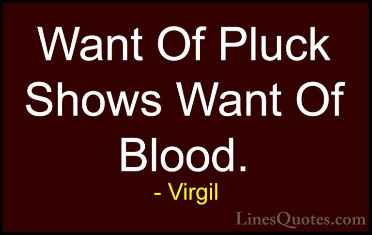 Virgil Quotes (74) - Want Of Pluck Shows Want Of Blood.... - QuotesWant Of Pluck Shows Want Of Blood.