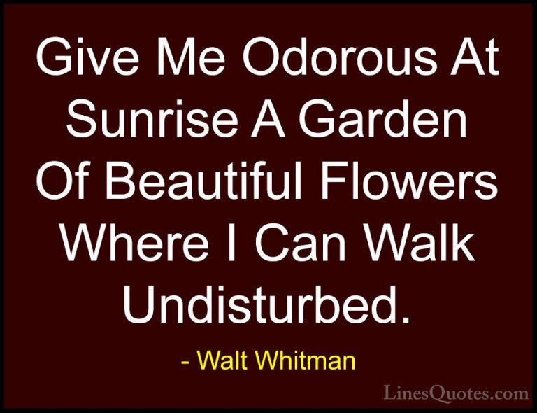 Walt Whitman Quotes (8) - Give Me Odorous At Sunrise A Garden Of ... - QuotesGive Me Odorous At Sunrise A Garden Of Beautiful Flowers Where I Can Walk Undisturbed.