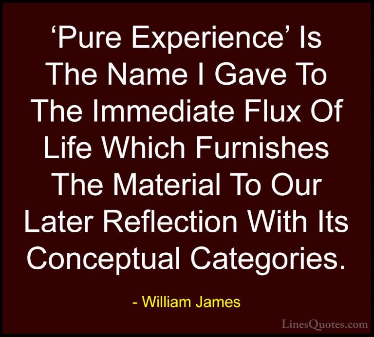 William James Quotes (95) - 'Pure Experience' Is The Name I Gave ... - Quotes'Pure Experience' Is The Name I Gave To The Immediate Flux Of Life Which Furnishes The Material To Our Later Reflection With Its Conceptual Categories.