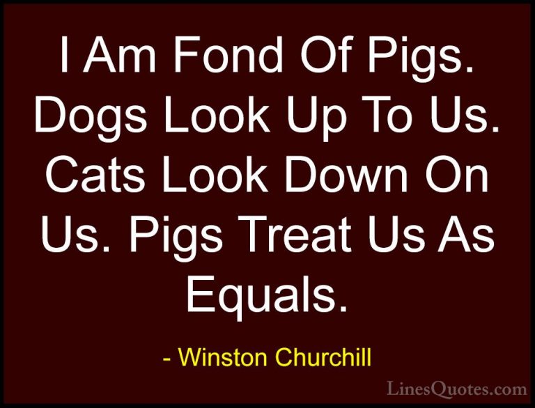 Winston Churchill Quotes (34) - I Am Fond Of Pigs. Dogs Look Up T... - QuotesI Am Fond Of Pigs. Dogs Look Up To Us. Cats Look Down On Us. Pigs Treat Us As Equals.
