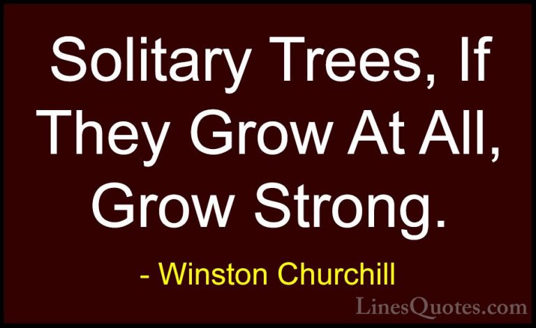 Winston Churchill Quotes (54) - Solitary Trees, If They Grow At A... - QuotesSolitary Trees, If They Grow At All, Grow Strong.