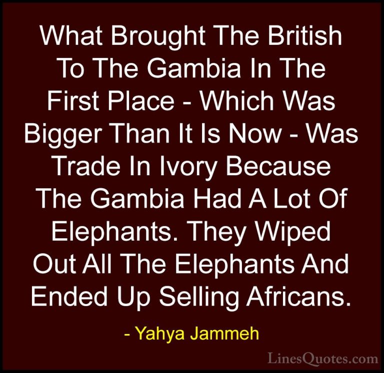 Yahya Jammeh Quotes (12) - What Brought The British To The Gambia... - QuotesWhat Brought The British To The Gambia In The First Place - Which Was Bigger Than It Is Now - Was Trade In Ivory Because The Gambia Had A Lot Of Elephants. They Wiped Out All The Elephants And Ended Up Selling Africans.