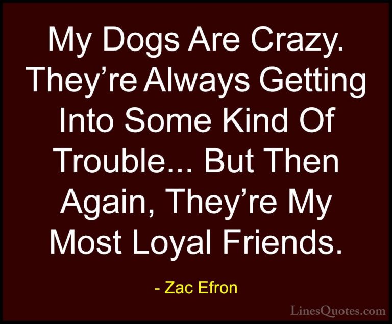 Zac Efron Quotes (6) - My Dogs Are Crazy. They're Always Getting ... - QuotesMy Dogs Are Crazy. They're Always Getting Into Some Kind Of Trouble... But Then Again, They're My Most Loyal Friends.